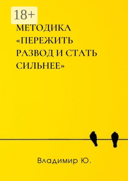Скачать книгу Методика «Пережить развод и стать сильнее»