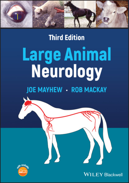Скачать книгу Large Animal Neurology
