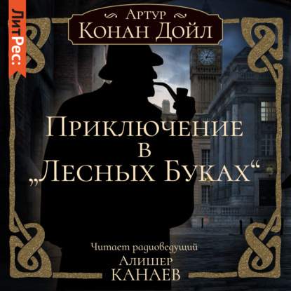 Скачать книгу Приключение в «Лесных Буках»