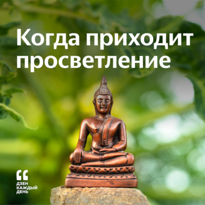 Скачать книгу Когда приходит просветление