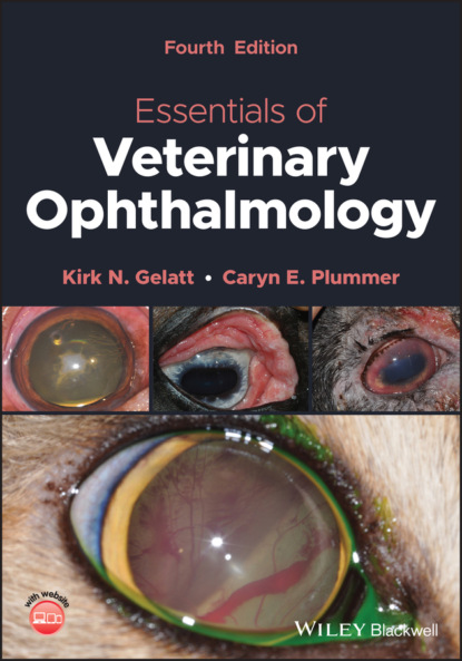 Скачать книгу Essentials of Veterinary Ophthalmology