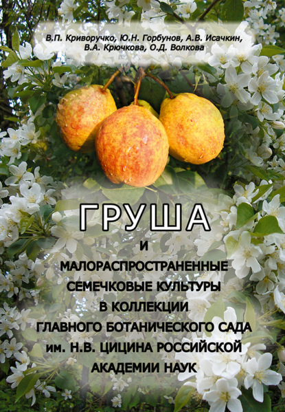 Скачать книгу Груша и малораспространенные семечковые культуры в коллекции Главного ботанического сада им. Н.В. Цицина Российской академии наук