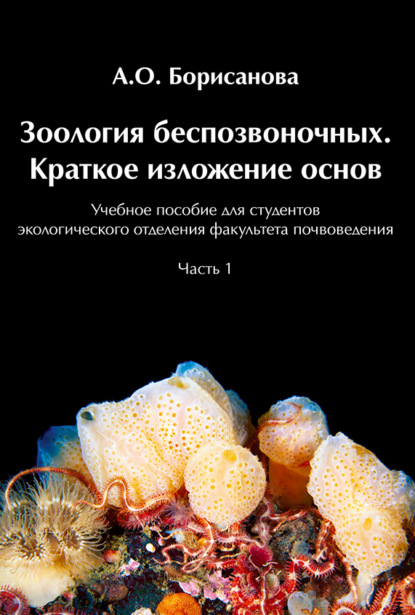 Скачать книгу Зоология беспозвоночных. Краткое изложение основ