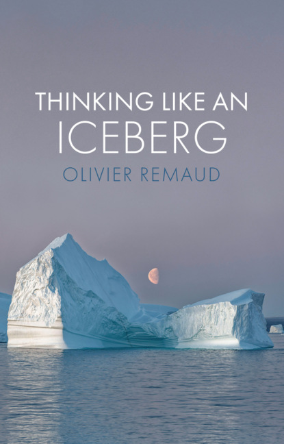 Скачать книгу Thinking Like an Iceberg