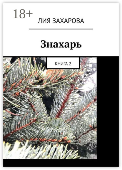 Знахарь. Книга 2