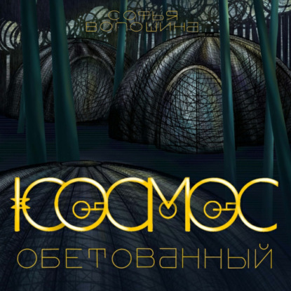 Скачать книгу Космос обетованный