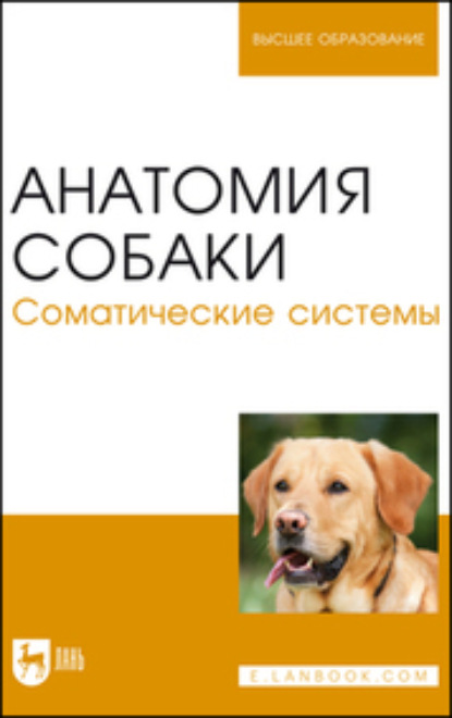 Скачать книгу Анатомия собаки. Соматические системы. Учебник для вузов