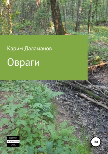 Скачать книгу Овраги