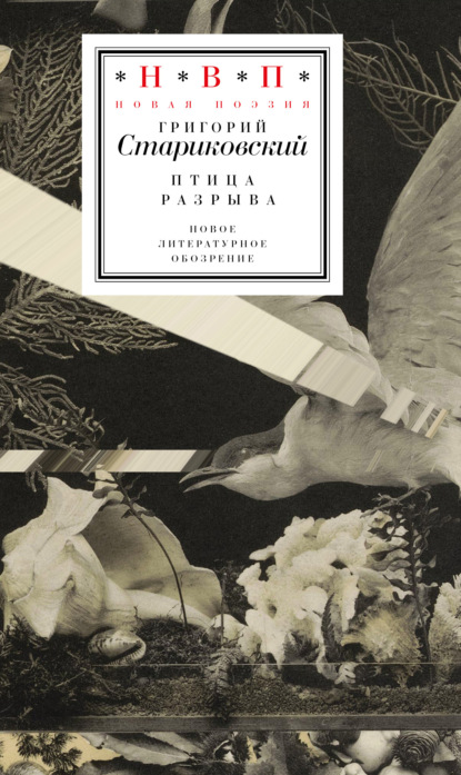 Скачать книгу Птица разрыва