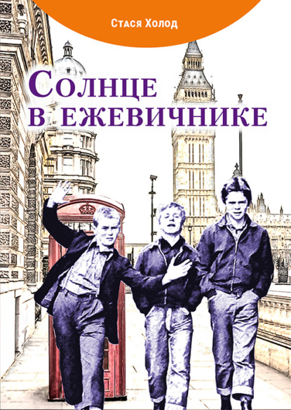 Скачать книгу Солнце в ежевичнике