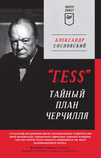 Скачать книгу «ГESS». Тайный план Черчилля