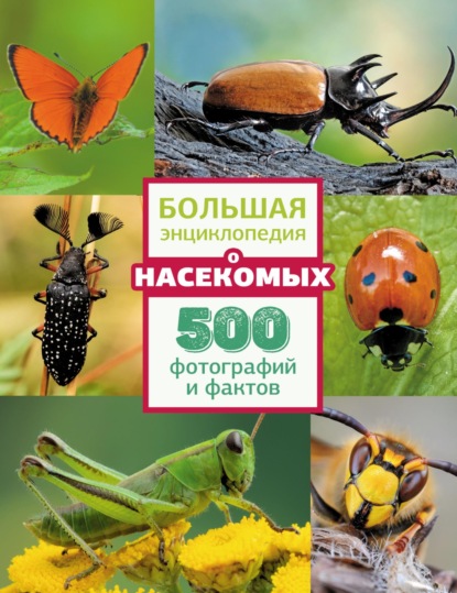 Скачать книгу Большая энциклопедия о насекомых. 500 фотографий и фактов