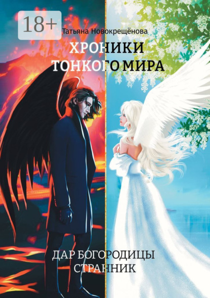 Скачать книгу Хроники тонкого мира. Дар Богородицы. Странник