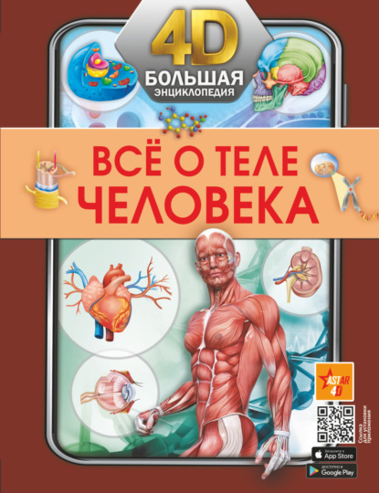 Скачать книгу Всё о теле человека