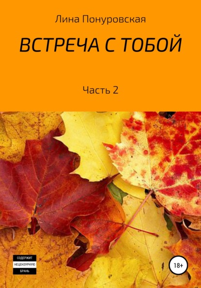 Скачать книгу Встреча с тобой. Часть 2