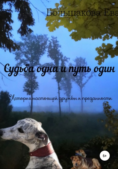 Скачать книгу Судьба одна и путь один. История настоящей дружбы и преданности