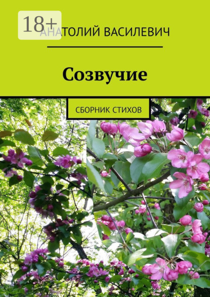 Скачать книгу Созвучие. Сборник стихов