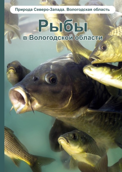 Скачать книгу Рыбы в Вологодской области