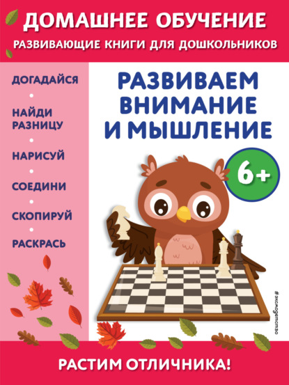 Скачать книгу Развиваем внимание и мышление. Для детей от 6 лет