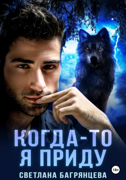 Скачать книгу Когда-то я приду