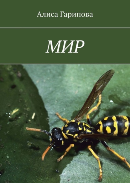 Скачать книгу Мир