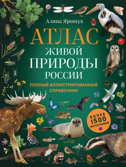 Скачать книгу Атлас живой природы России. Полный иллюстрированный справочник