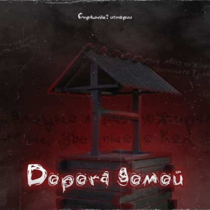 Скачать книгу Дорога домой (Гости из Всеграда часть 7)