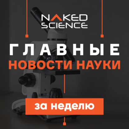 Скачать книгу C точки зрения науки №41