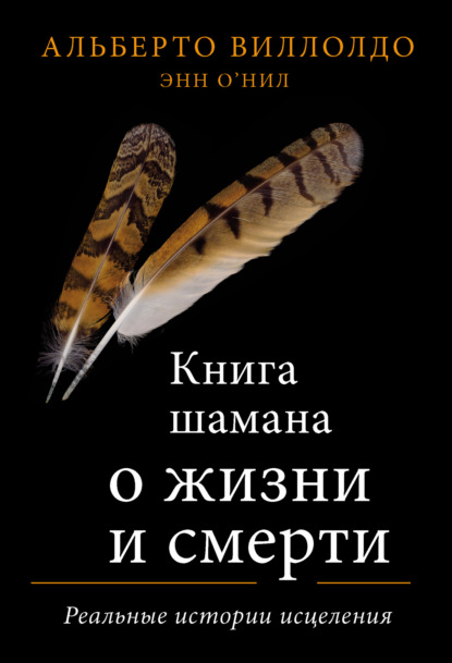 Скачать книгу Книга шамана о жизни и смерти. Реальные истории исцеления