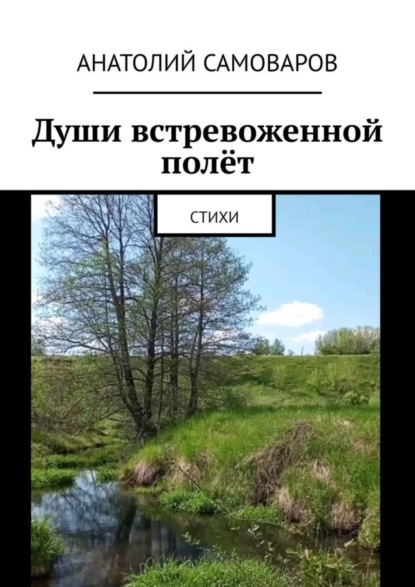 Скачать книгу Души встревоженной полёт. Стихи