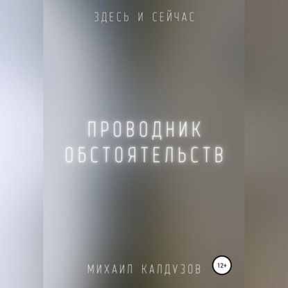 Скачать книгу Проводник обстоятельств. Здесь и сейчас