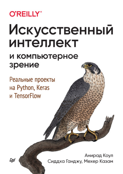 Скачать книгу Искусственный интеллект и компьютерное зрение. Реальные проекты на Python, Keras и TensorFlow (+ epub)