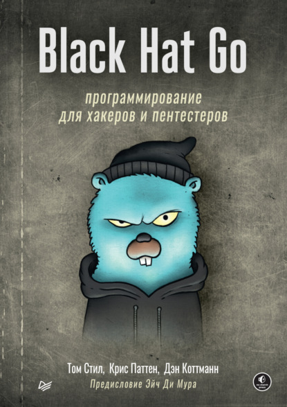 Скачать книгу Black Hat Go. Программирование для хакеров и пентестеров (+ epub)