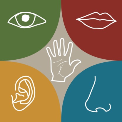 Скачать книгу Курс "Сенсорный маркетинг: как запах и звук могут влиять на вовлеченность и эмоции"