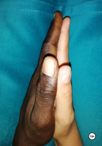 Скачать книгу По дороге к манговому дереву