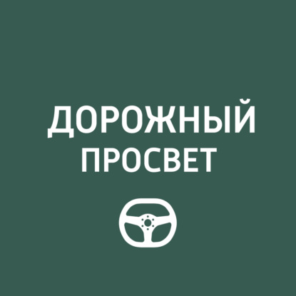 Скачать книгу Дорожный просвет