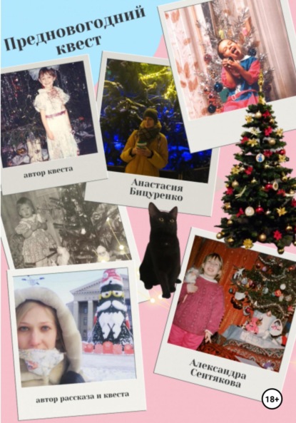 Скачать книгу Предновогодний квест