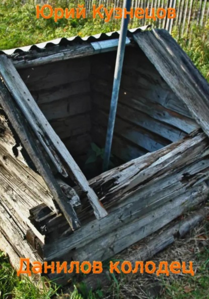 Скачать книгу Данилов колодец