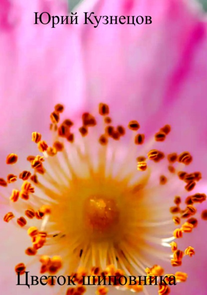 Скачать книгу Цветок шиповника
