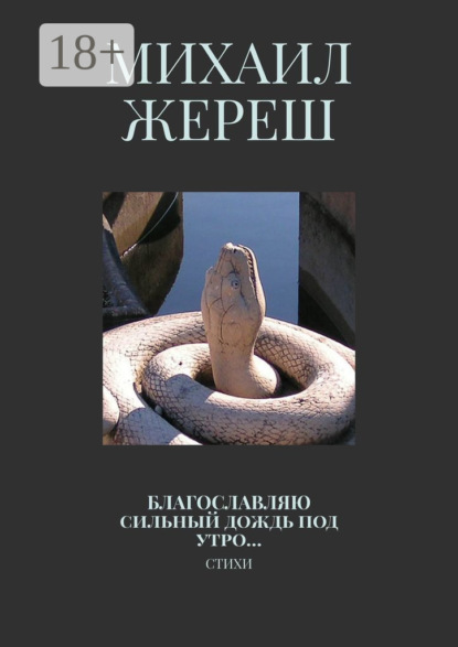 Скачать книгу Благословляю сильный дождь под утро… Стихи