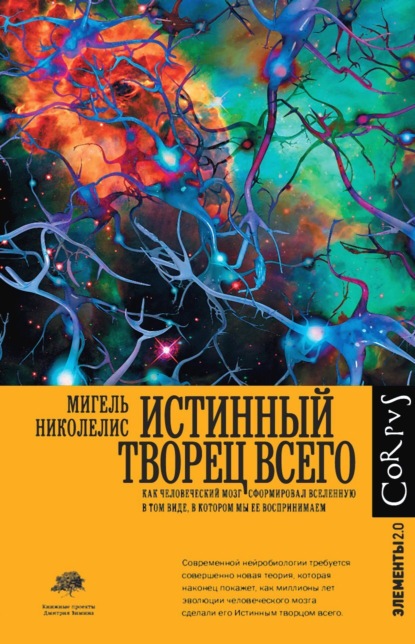 Скачать книгу Истинный творец всего. Как человеческий мозг сформировал вселенную в том виде, в котором мы ее воспринимаем