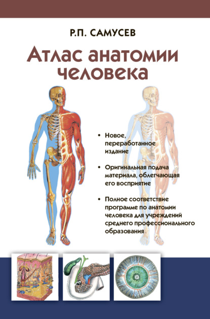 Скачать книгу Атлас анатомии человека. Учебное пособие для студентов учреждений среднего профессионального образования