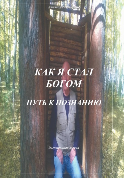 Скачать книгу Как я стал Богом. Путь к познанию