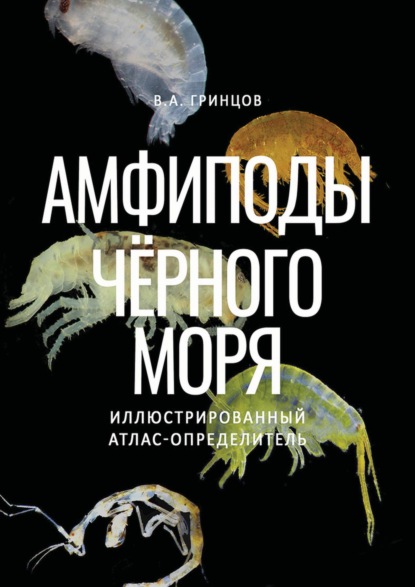 Скачать книгу Амфиподы Чёрного моря. Иллюстрированный атлас-определитель