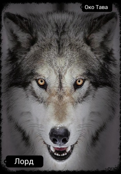 Скачать книгу Лорд