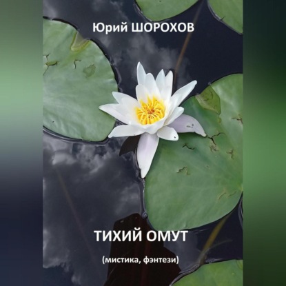 Скачать книгу Тихий омут