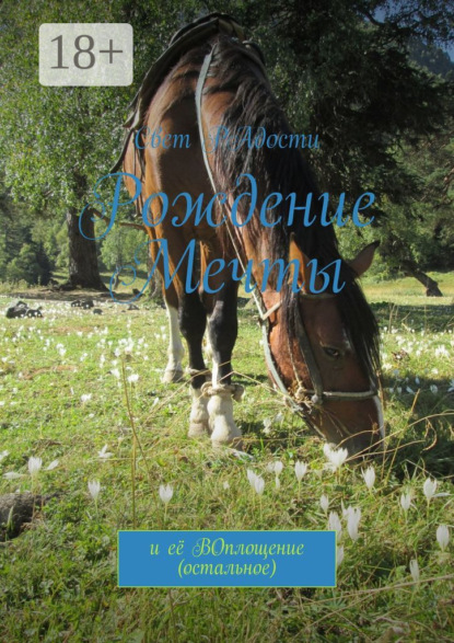 Скачать книгу Рождение мечты. И её воплощение (остальное)