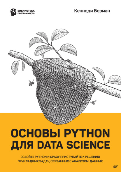 Скачать книгу Основы Python для Data Science (pdf + epub)