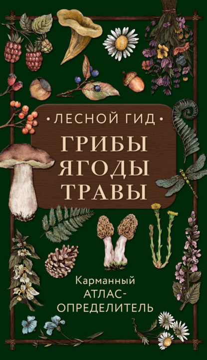 Скачать книгу Лесной гид: грибы, ягоды, травы. Карманный атлас-определитель