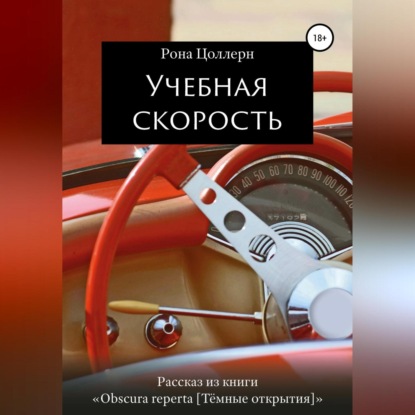 Скачать книгу Учебная скорость